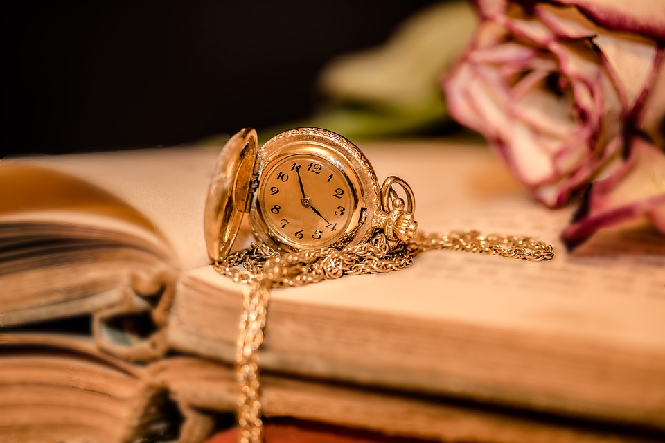 time, watch, book, past, flower, future, present