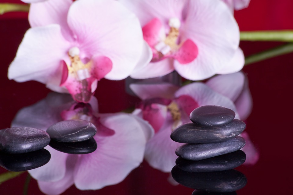 pink flowers, stones, journaling, spiritual, wellness