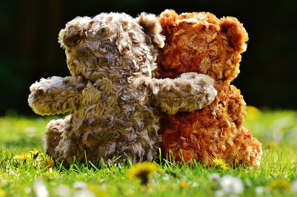 Teddy Bears, Hugs, Friendship, Gift, Renew Inspiration