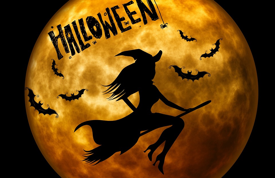 Celebrate Halloween, Autumn, Fall Holiday, Scary, Sweet Treats, Pumpkins, Witches