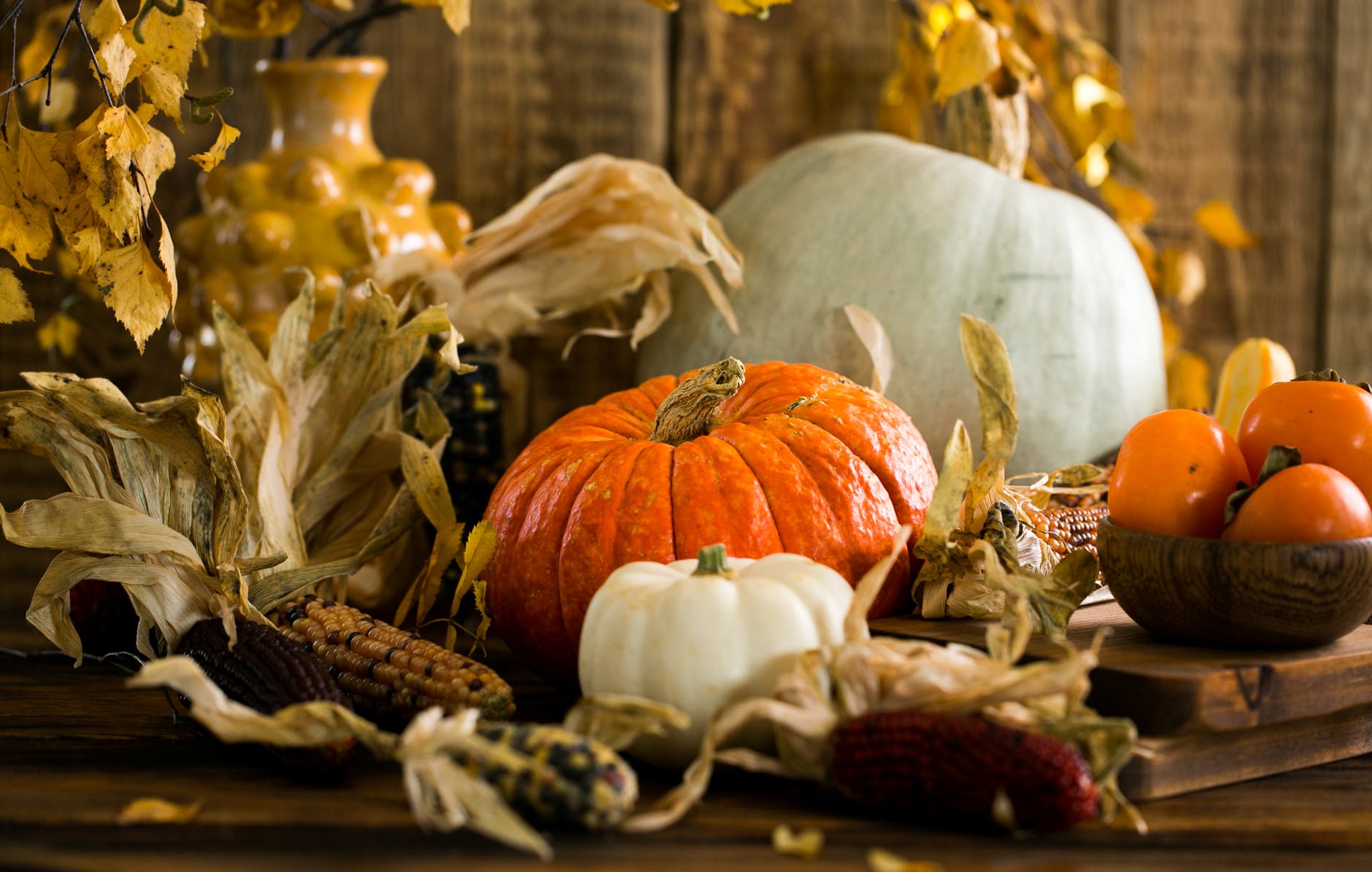Thanksgiving, Reflection, Pumpkins, Holidays