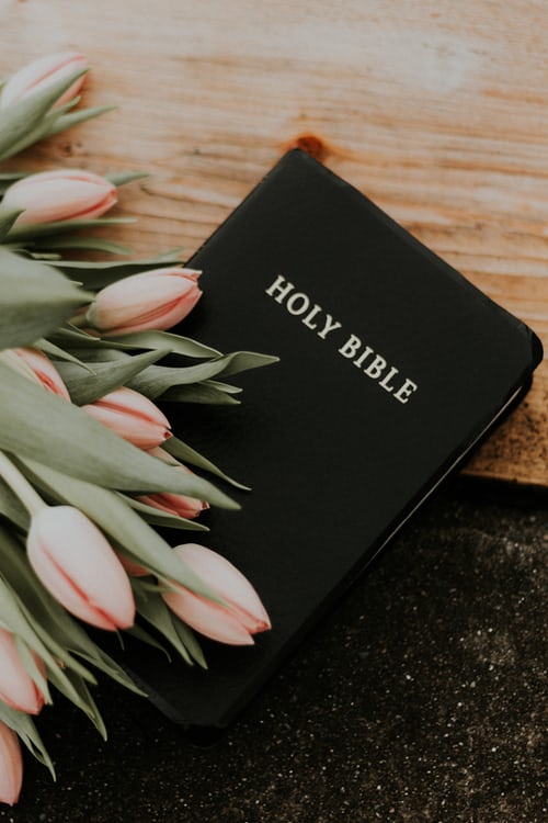 Renew Inspiration, Engage in God's Word, Holy Bible, Pink Tulips