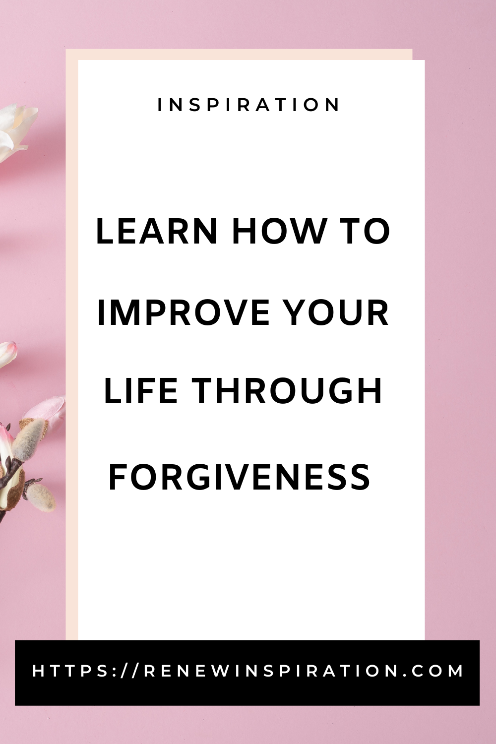 Learn How To Improve Your Life Through Forgiveness