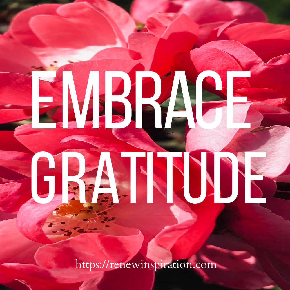 Renew Inspiration, Embrace Gratitude