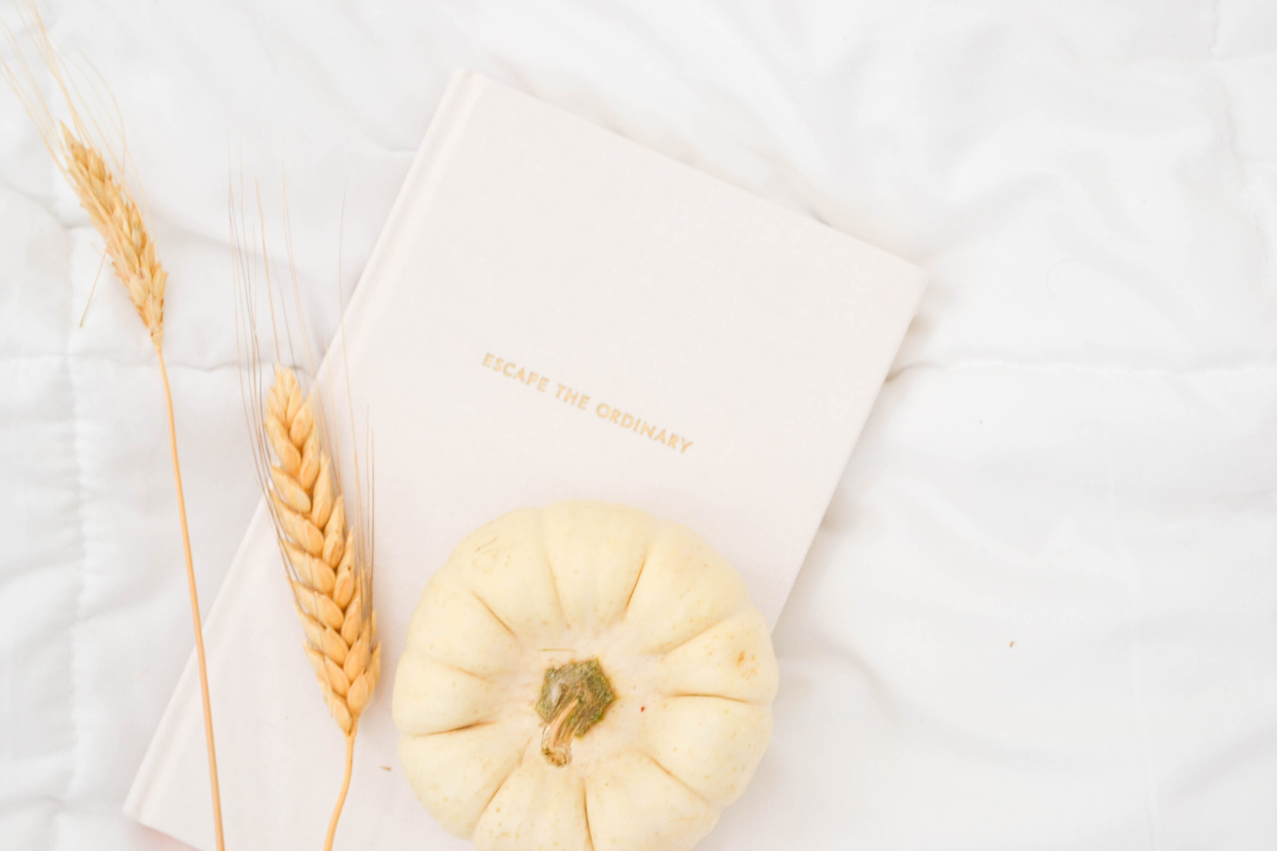 white pumpkin, book